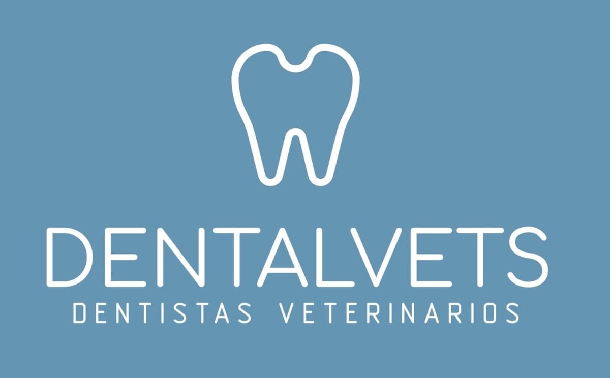 Veterinaria con perrito feliz